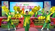 Sa Decin kukka- ja koristekasvifestivaali tekee Vietnamin ennätyksen ja avaa uusia mahdollisuuksia.