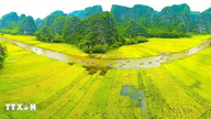 Ninh Binh: Kulttuuriperinnön arvon edistäminen ja perintöpohjaisen talouden kehittäminen.