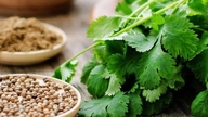 5 tipos de alimentos que ajudam os rins a filtrar toxinas de forma eficaz.