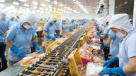 Bestyrelsesformanden for Nam Viet (ANV) har registreret en erklæring om at frasælge alle sine nuværende beholdninger.