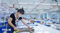 Tay Ninh privilégie l'attraction des investissements de haute technologie et le développement en profondeur.