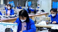 A GDP 8,02%-os növekedésével Vietnamot a nemzetközi média Ázsia fénypontjaként üdvözli.