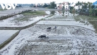 Da Nang: De stad verlaten voor het platteland, het leven ervaren als boer en traditionele pottenbakker.
