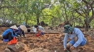 UNESCO Dak Nong Küresel Jeoparkı içindeki arkeolojik alanların değerinin tanıtılması gerekiyor.