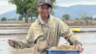 จังหวะชีวิตใหม่บนแม่น้ำอายุนตอนล่าง