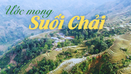 Toivotaan Suoi Chaita