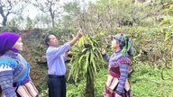 Jutawan Bunga Pic di Can Chu Su