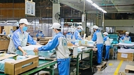 Towards a Forest Products Processing Center
