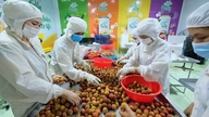 Xuất khẩu nông sản phấn đấu đạt 40 tỉ USD năm 2026