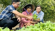 เกษตรกรในตำบลลีวันลัมกำลังยุ่งอยู่กับการเก็บเกี่ยวผลดอกไม้ตรุษจีนและแตงโม