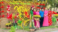 I denne Tet-ferie kan du tage til Binh Loi og slentre langs den 3 km lange vej, der er omkranset af gyldne abrikosblomster.