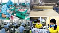 Новый указ определяет налоговые льготы, предоставляемые правительством для развития частной экономики.