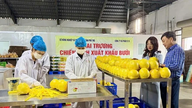 La normalisation de chaque région de production ouvrira des portes aux marchés d'exportation pour le pomelo.