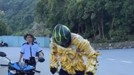 Da Nang: Ausländische Touristen werden davor gewarnt, sich in Bananenblätter zu wickeln, um in Son Tra mit Affen zu spielen.