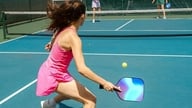 פיקלבול הפך למגרש משחקים רווחי עבור מיליארדרים, כולל טסלה של אילון מאסק.