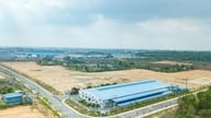 Dong Nai bortauktionerer 3 jordlodder, hvilket genererer ressourcer til investering og udvikling.