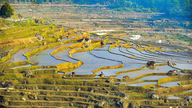 Western tourists enjoy taking photos of the terraced rice fields in Pu Luong during the water-filling season.