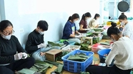Producenter af Thanh Hoa-fermenterede svinekødspølser arbejder hårdt på at opfylde Tet-højtidsbestillinger.