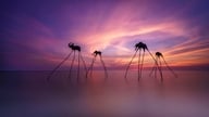 Phu Quoc og Bangkok fører an i søgninger efter rejsedestinationer til kinesisk nytår 2026.