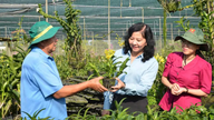 Ledere af Ho Chi Minh Citys landmændsforening besøgte og opmuntrede Tet-blomsteravlere i Binh Chanh kommune.
