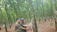 Einführung des 6. Vietnam Rubber Industry Journalism Award, 2026