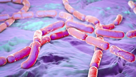 Bakterierne Bacillus cereus er forbundet med tilbagekaldelsen af ​​et parti mælk i Storbritannien.