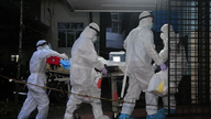 Vietnam no ha registrado ningún caso de infección por el virus Nipah y está reforzando la vigilancia epidemiológica.