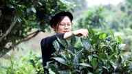 Tee macht den Großteil der OCOP-Produkte in Thai Nguyen aus.