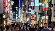 Rekordantal af vietnamesiske turister besøger Japan.