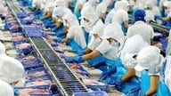 Vinh Hoan ønsker at tilbagekøbe 15 millioner aktier for at reducere sin selskabskapital.