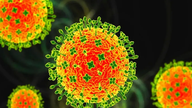 El Ministerio de Salud solicita con urgencia el fortalecimiento de los equipos de respuesta rápida para hacer frente al virus Nipah.