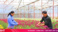 Warna-warna musim semi yang cerah menghiasi taman-taman bunga di Ha Tinh.