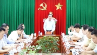 Permintaan laporan mingguan mengenai pembersihan tanah untuk zon perindustrian Long Duc 3, Bau Can - Tan Hiep dan Xuan Que - Song Nhan.