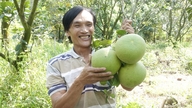 Phát triển nông nghiệp đa dạng