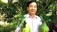 Landmænd i Mekongdeltaet forbereder formet og trykt frugt til salg under Tet (månenytår).