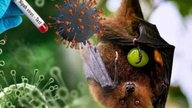 Varo vaarallista Nipah-virusta.