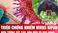 کارشناسان: چگونه علائم اولیه عفونت ویروس نیپا را تشخیص دهیم