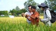 เสริมสร้างความเข้มแข็งให้แก่ทีมส่งเสริมการเกษตรระดับชุมชน และรับประกันการดำเนินงานอย่างต่อเนื่องของทีมงานเหล่านั้น