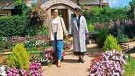 Gia Lai ist bereit, Touristen in der Frühlingssaison willkommen zu heißen.