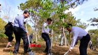 Lam Vien Ward - Da Lat deltager i Da Lat Cherry Blossom Festival 2026.