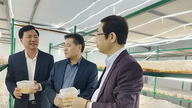 Evaluación de la eficacia de un modelo de producción de setas Cordyceps vinculado a una cadena de suministro de consumo.
