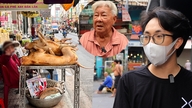 Survei di Kota Ho Chi Minh: Sebagian orang makan daging anjing karena rasanya enak, sementara yang lain memutuskan untuk berhenti mengonsumsinya sama sekali.