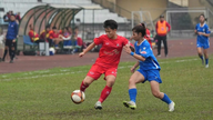 ทีมฟงฟูฮานามเก็บได้ 3 คะแนนเต็มในการแข่งขันนัดที่ 8 ของการแข่งขันฟุตบอลชิงแชมป์แห่งชาติรุ่นอายุไม่เกิน 19 ปี ปี 2026