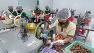 Concentrați-vă pe procesarea profundă și modernizarea produselor OCOP.