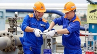 Petrolimex Petrochemicals annonce des pertes pour la première fois en 17 ans.
