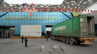 Proaktive foranstaltninger for at forhindre spredning af Nipah-virus ved Mong Cai International Border Gate.
