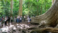 4 vakre turistmål i nærheten av Ho Chi Minh-byen som tilbyr mange interessante opplevelser for det kinesiske nyttåret 2026 (hestens år).