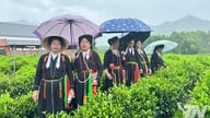 Preserving the spirit of Soọng cô on the tea plantations.