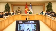 Místopředseda vlády Tran Hong Ha se virtuálně setkal s místopředsedou vlády Uzbekistánu.