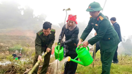 Komune Ban Xeo melancarkan kempen "Menanam Pokok Sebagai Tanda Terima Kasih kepada Pak Cik Ho".